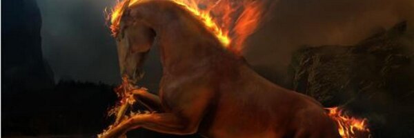 Waltmatrix Profile Banner