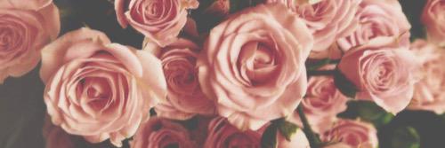 natashagullz's profile banner image