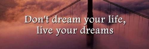 marlenewallin's profile banner image