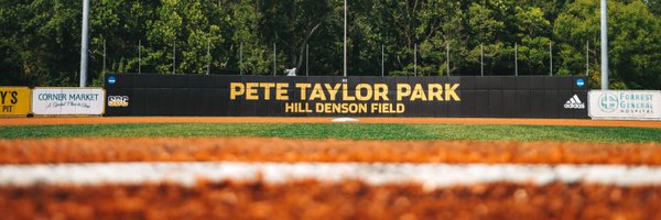 SouthernMissBSB Profile Banner