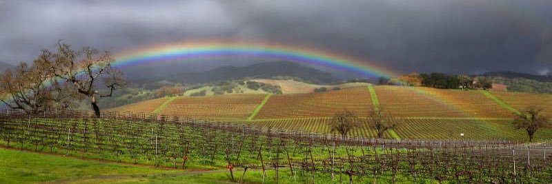 sonomalife's profile banner image