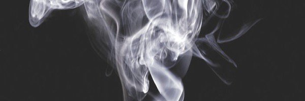 tanzer95's profile banner image