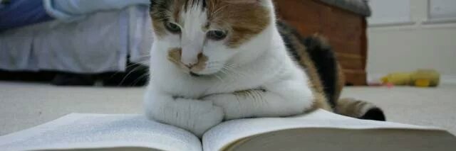 Wojtek Pięcek 🇺🇦 #ProjectX banner