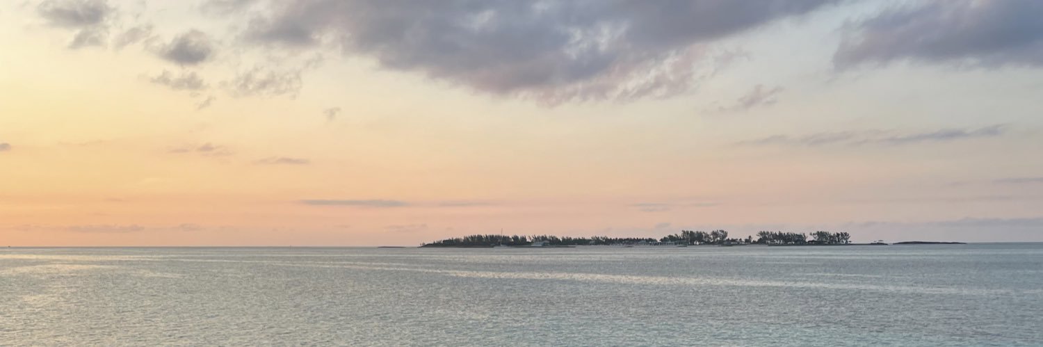 annie_flaherty's profile banner image