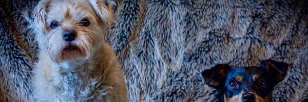 BeauJangle21 Profile Banner
