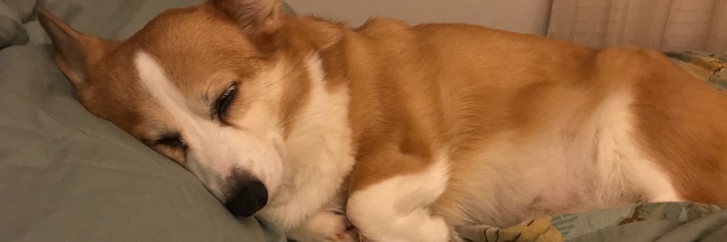 Trixy427's profile banner image
