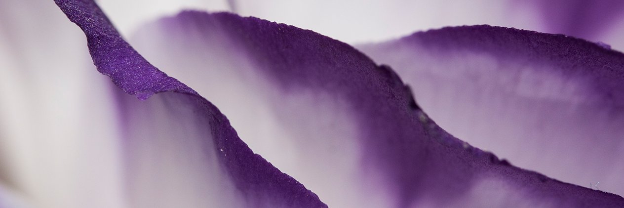 Mugzemet's profile banner image