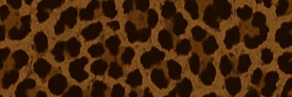 AK banner