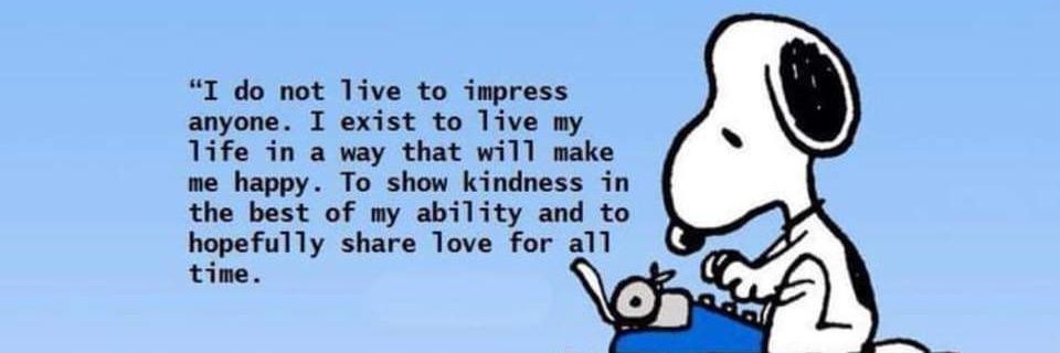MrsWPrimary's profile banner image