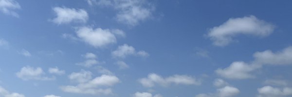 skullcap____ Profile Banner