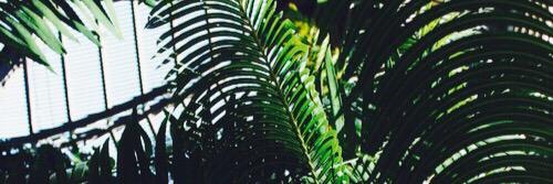mind_v_matter's profile banner image