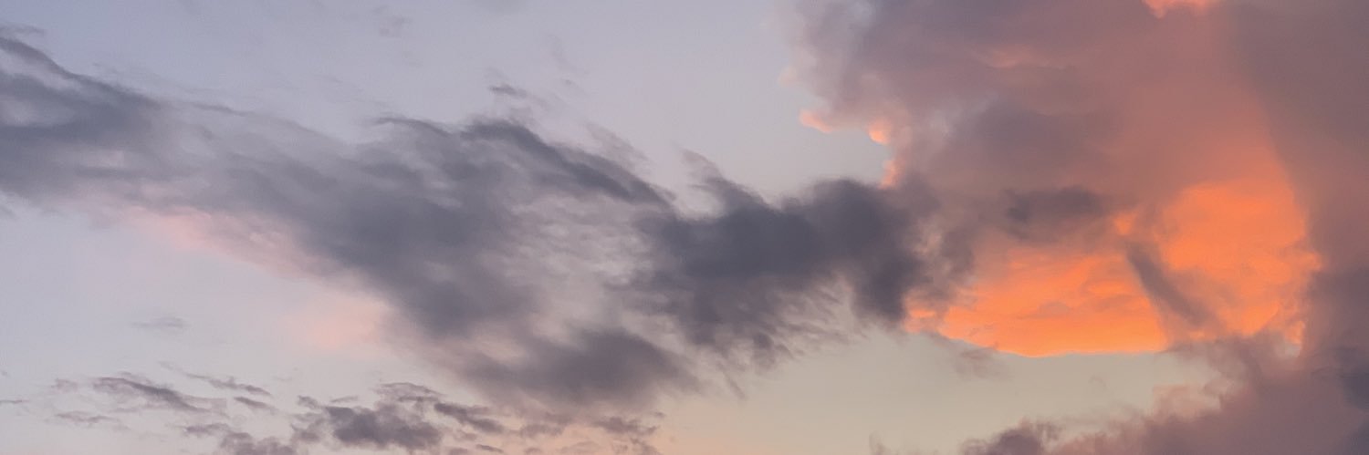 megmcleod4's profile banner image