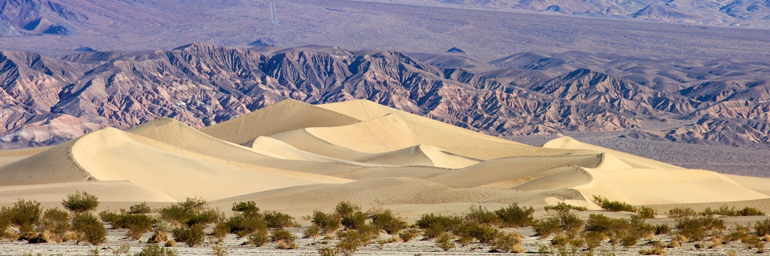 Dave Toussaint banner