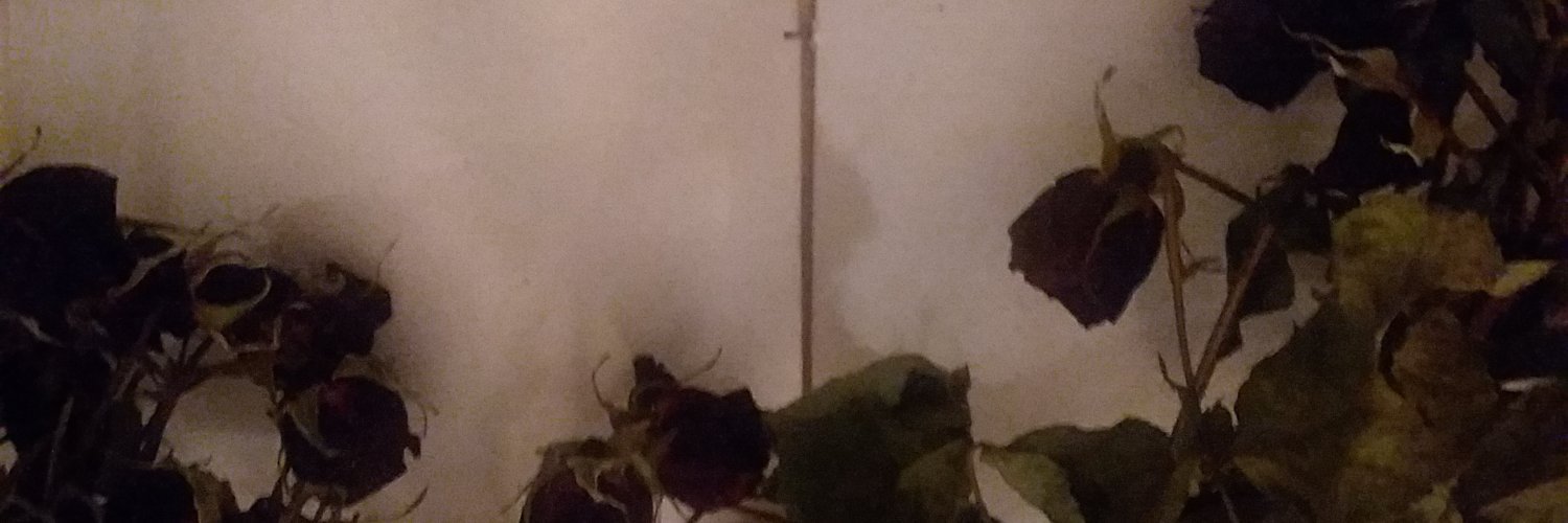 taryn_tyler's profile banner image
