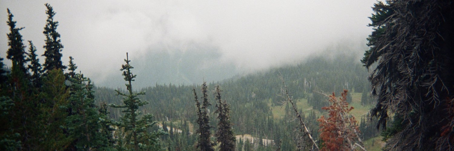 Emilyfishhh's profile banner image