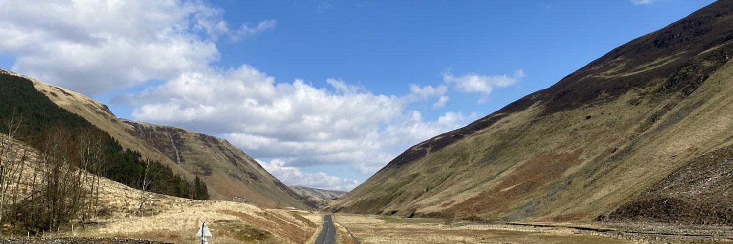 manda forster banner