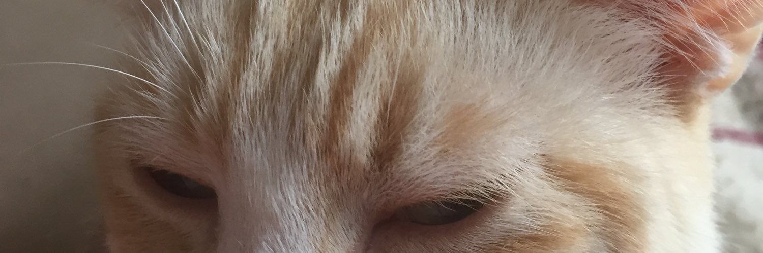 ddjjmum's profile banner image