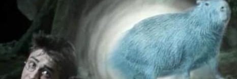 humanature99's profile banner image