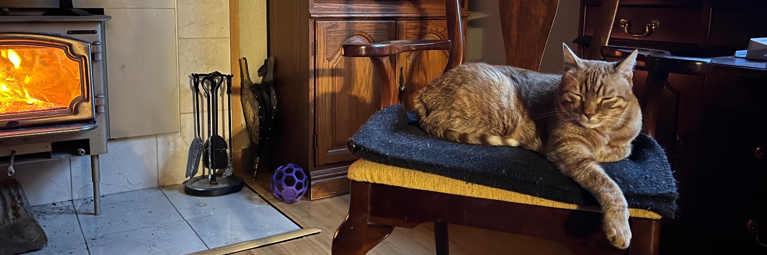 ReaderCatMe's profile banner image