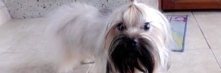andreaserpaH's profile banner image