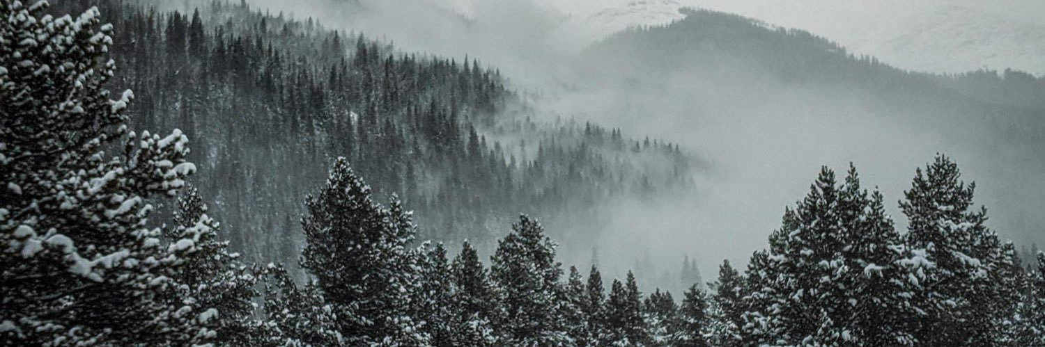 llzzrrdd's profile banner image