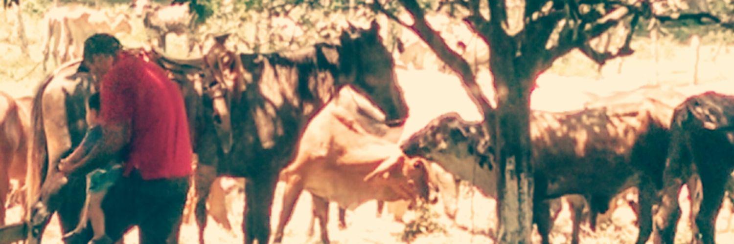 dulcevaldes5's profile banner image