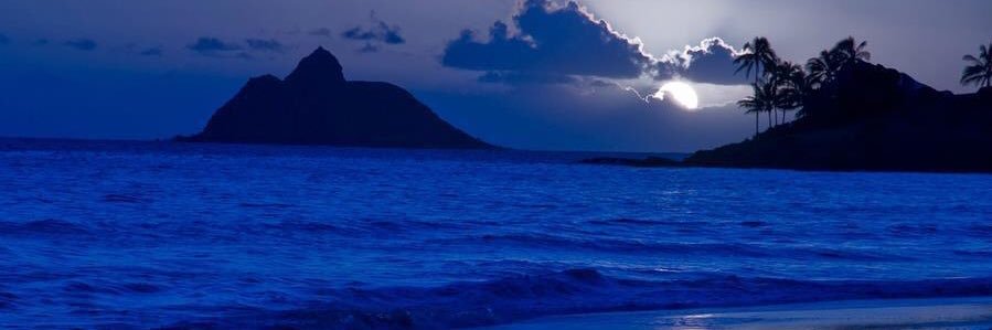 lady_blue24's profile banner image