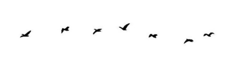 brooklynn_tc's profile banner image