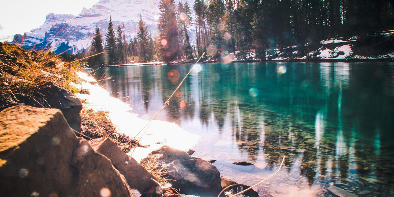 Steezy53's profile banner image