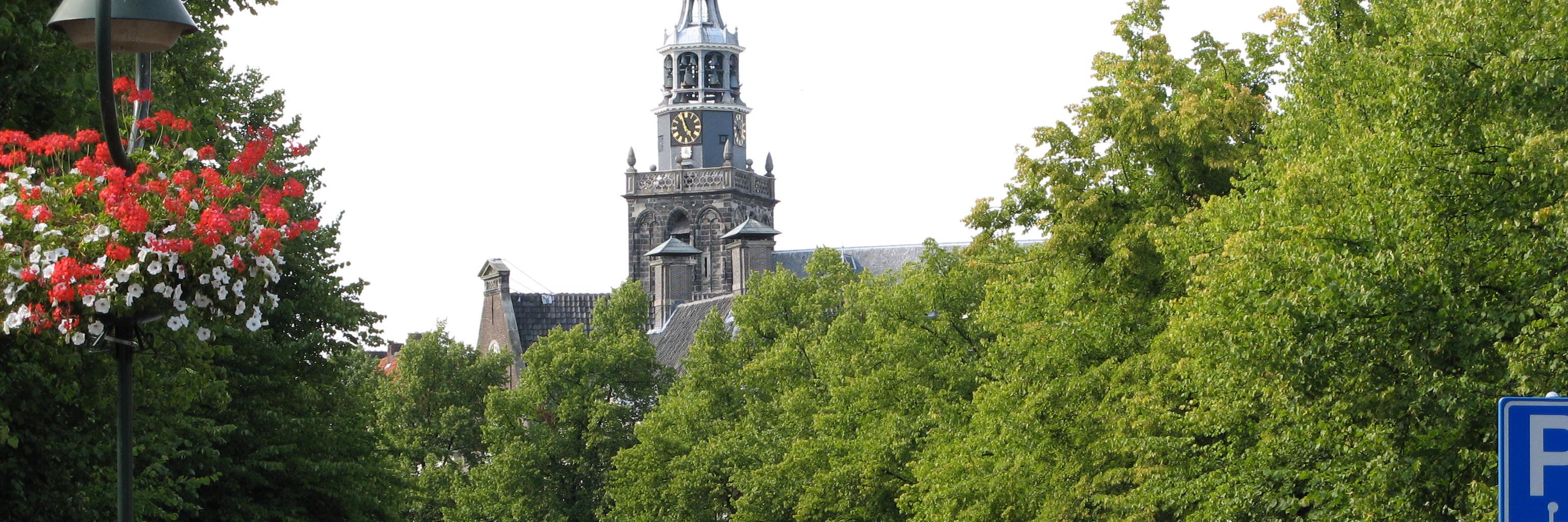 Fred de Mooij banner