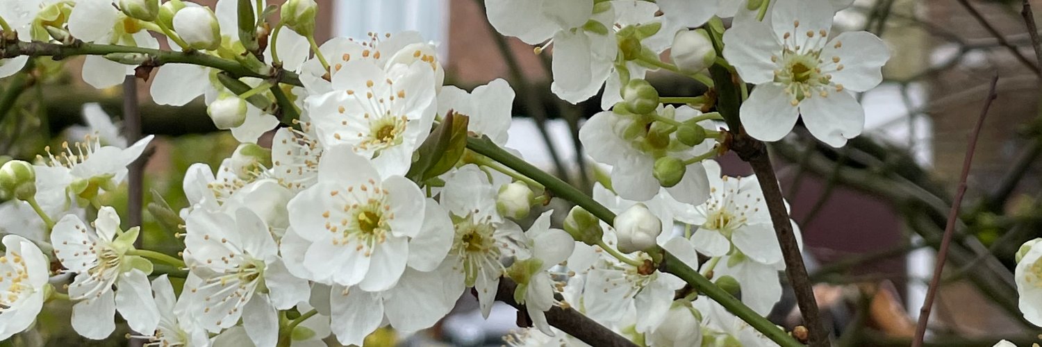 Piercemillfarm's profile banner image
