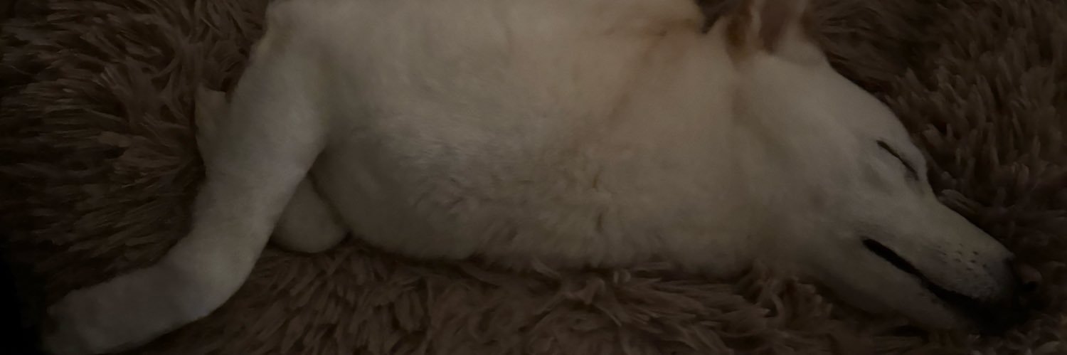 JordanMahsman's profile banner image