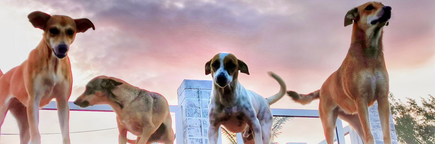 SAMFUNN RUS HELSE banner