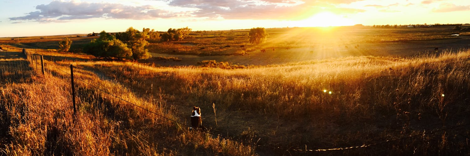 taylor__knecht's profile banner image