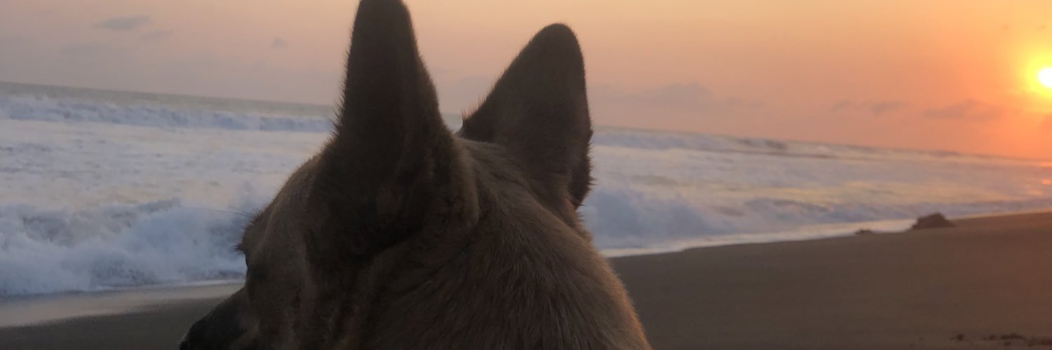Mariapaba5's profile banner image
