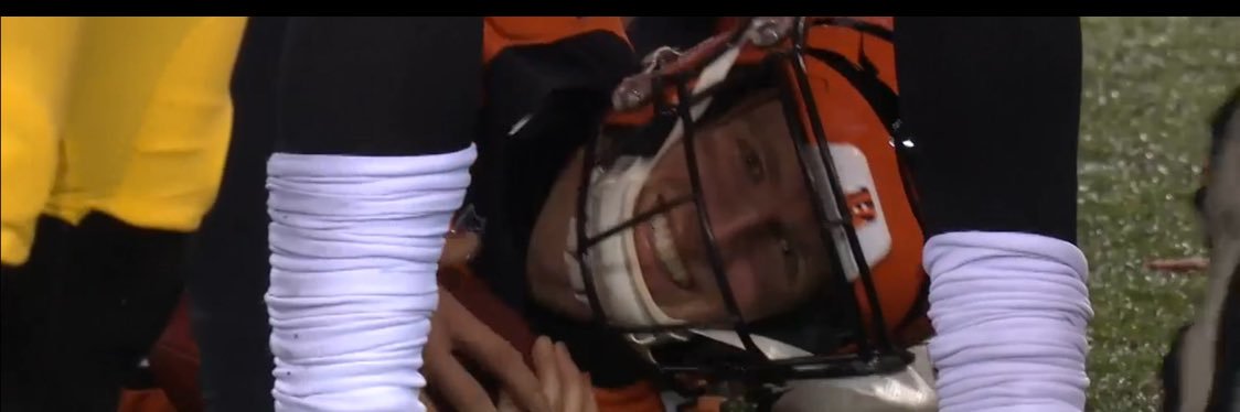 Cincy Jake 🐅 banner