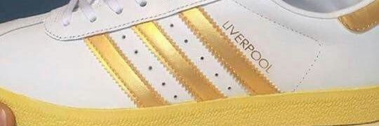 SandonWall's profile banner image