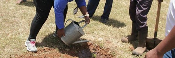 deenes Profile Banner