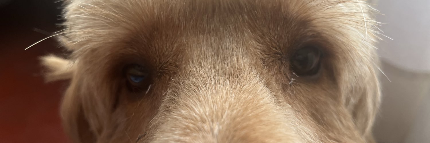 Khovu_'s profile banner image