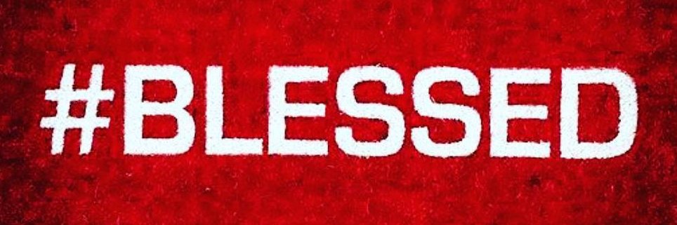 INDELIBLE_PYT's profile banner image