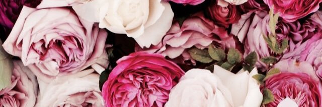 baesicbetch's profile banner image