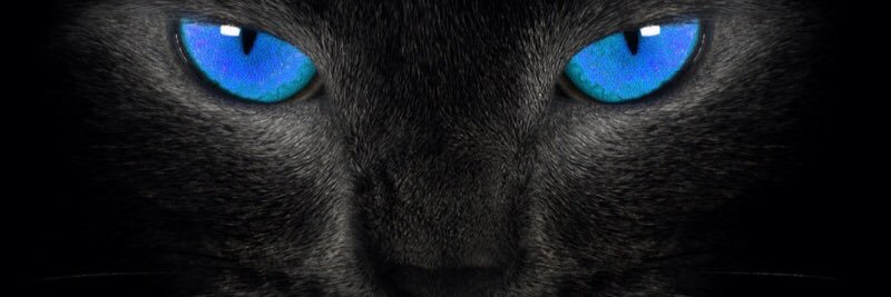 inter_m87's profile banner image