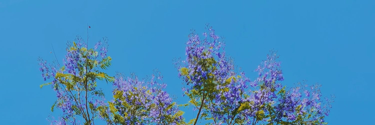 hidlsxks's profile banner image