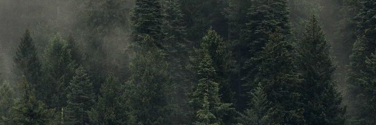 NeyFrancoV's profile banner image