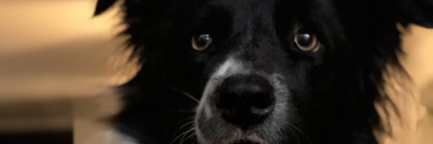 naty_pvg's profile banner image