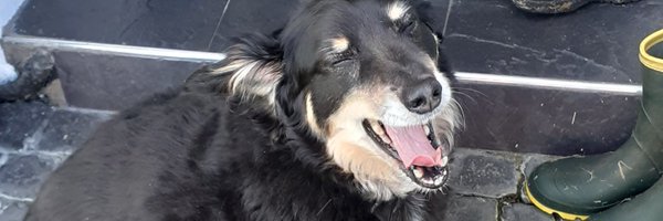 Jan18BS Profile Banner