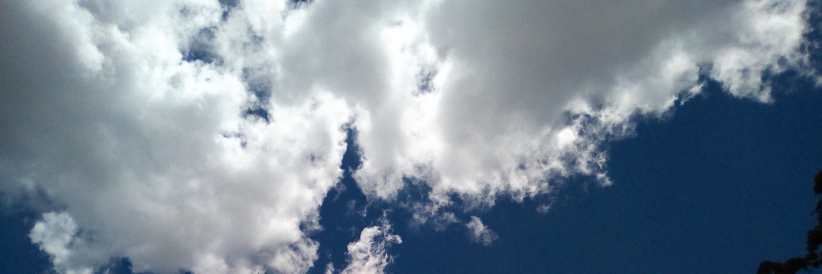 Caritosati's profile banner image