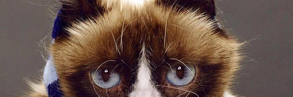 Arkantyk's profile banner image