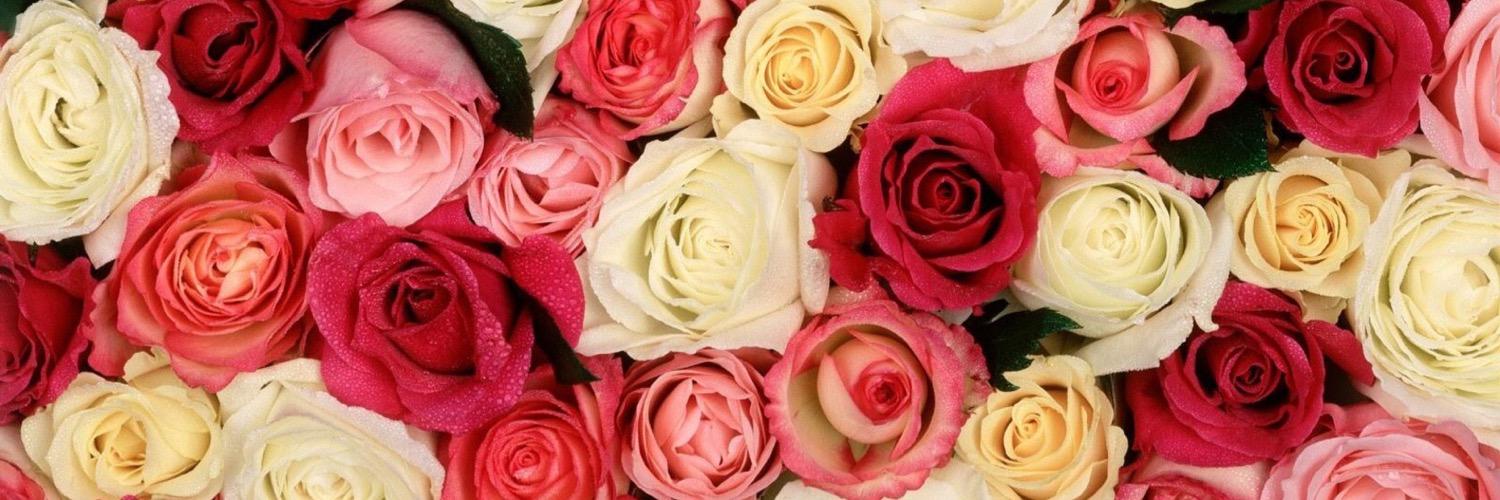 RachyW88's profile banner image
