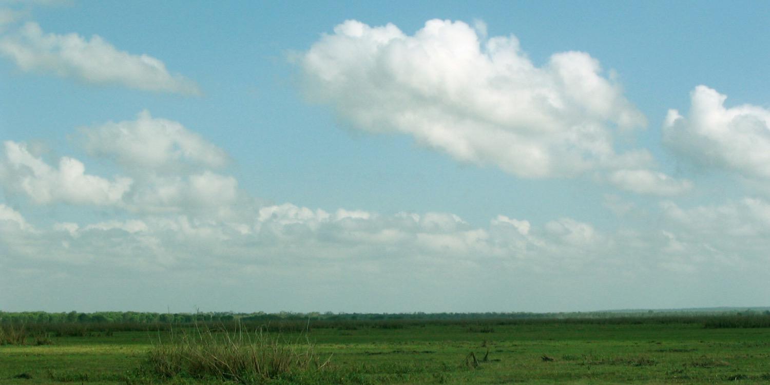 Ardeet's profile banner image
